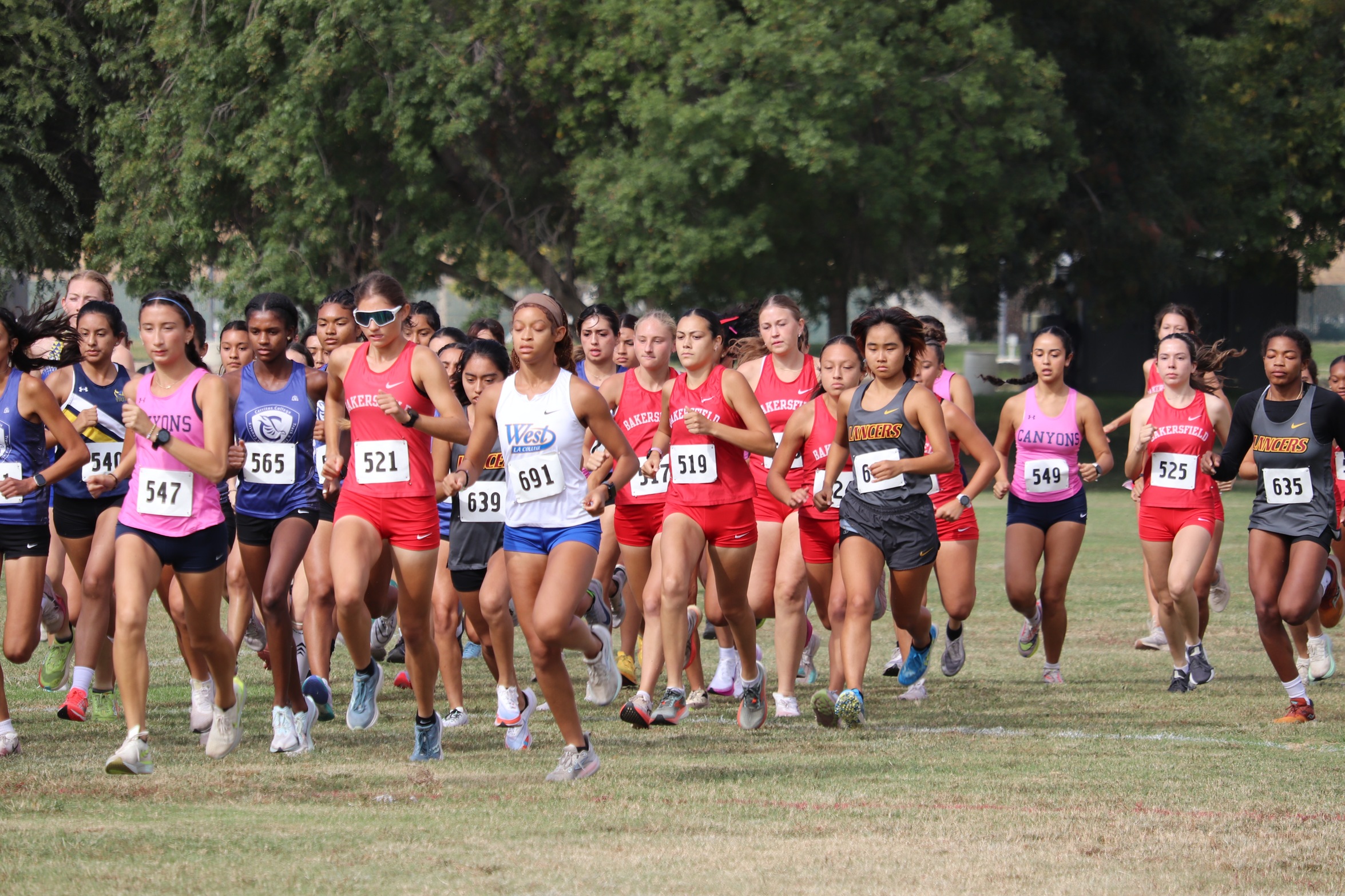Renegade Cross Country Shines at BC Invite